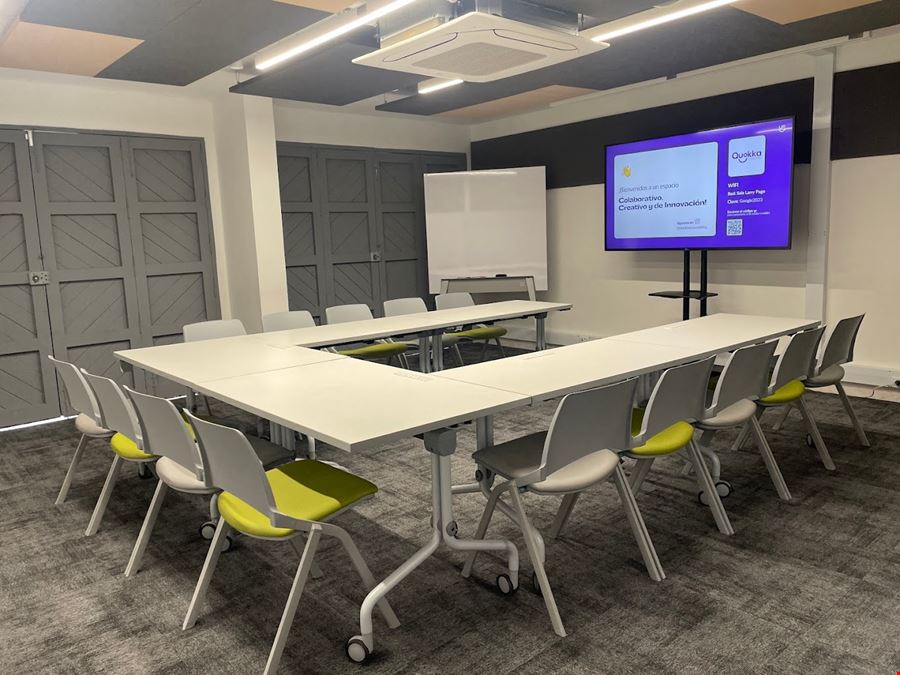 Quokka - Patio Bonito