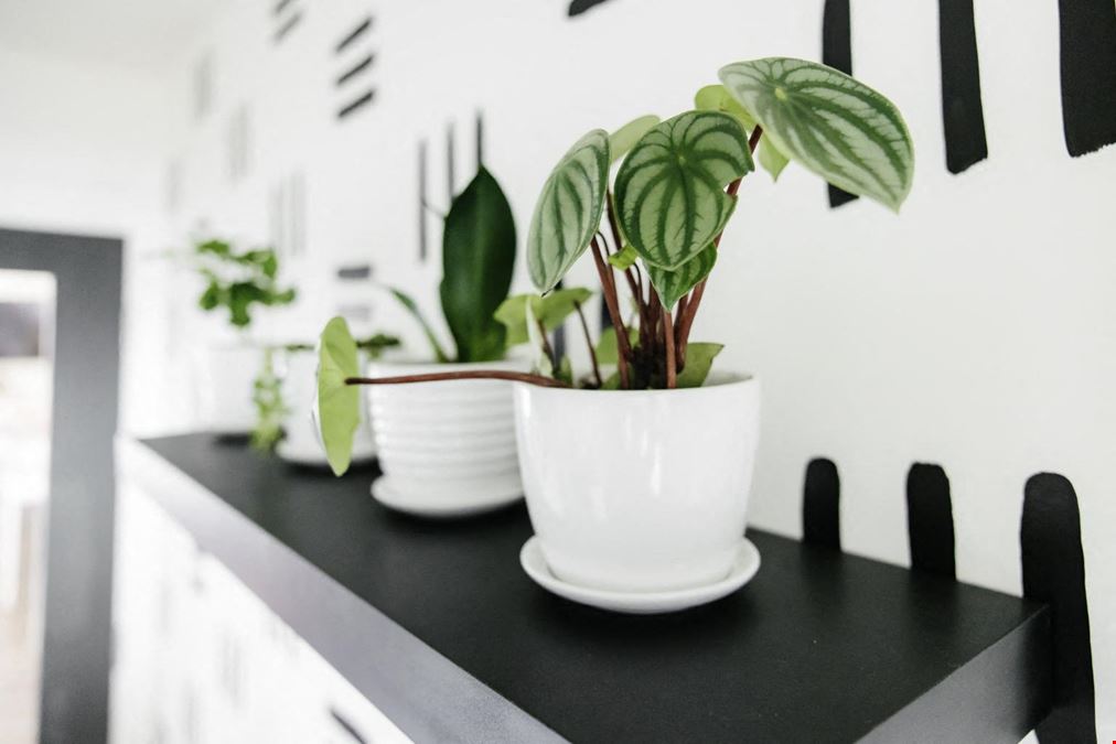 Kinected Spaces Portland