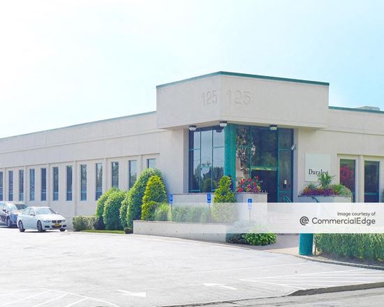 Preview of 125 Michael Drive Office space for Rent in Syosset