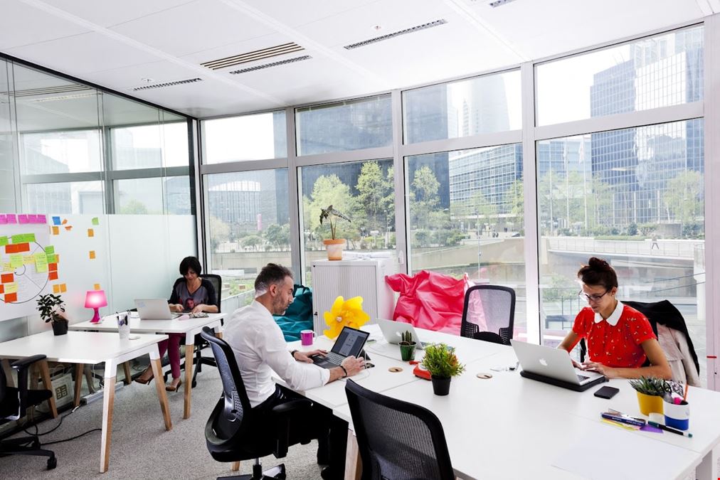 Wojo - Coeur Défense