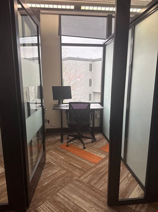 Private Window Office | Sit-Stand Desk + Cold Brew & Kombucha on Tap