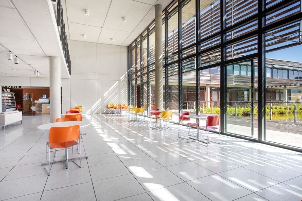 Basepoint - Great Marlings