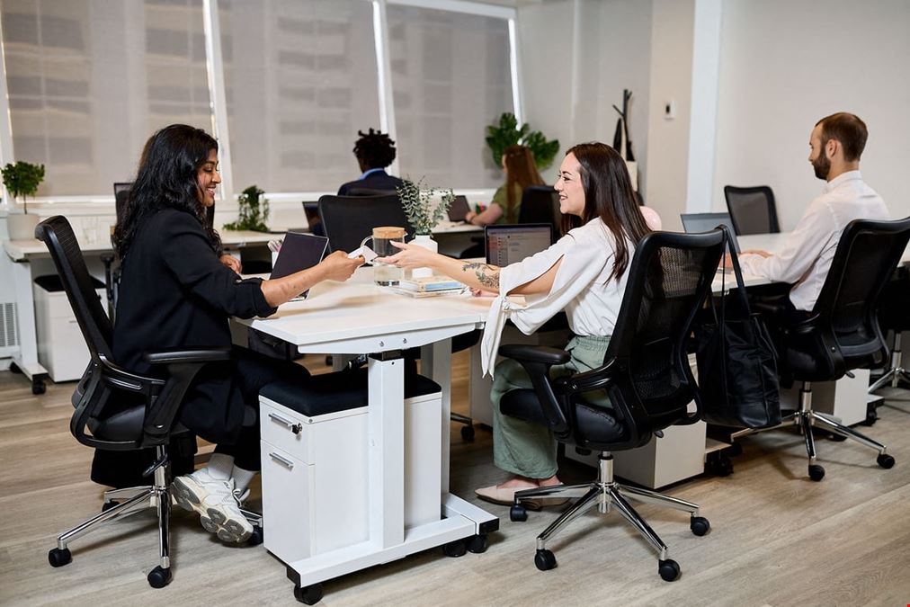 iQ Offices – 222 Queen Street