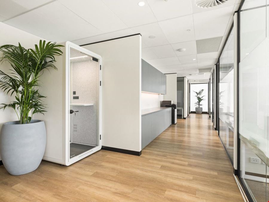 Liberty  - St Leonards