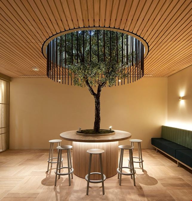 Fora - Borough - Borough High Street