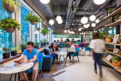 Blueprint - Dorset House