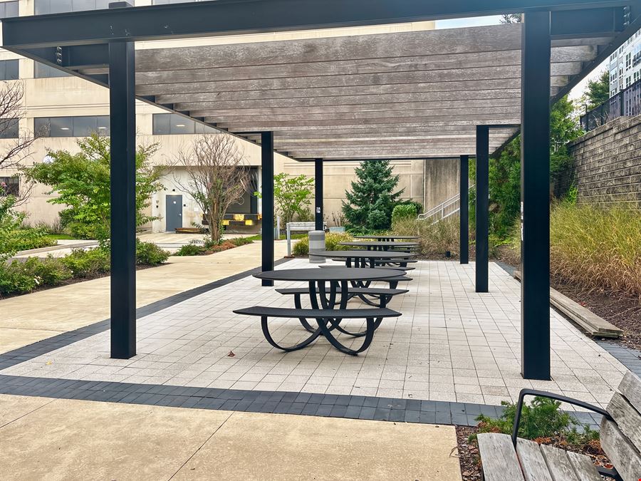 PA, Bala Cynwyd - Monument Road