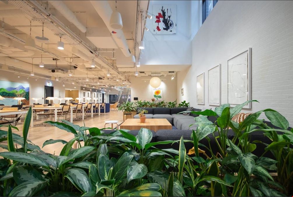 Shoreditch Exchange - Hoxton