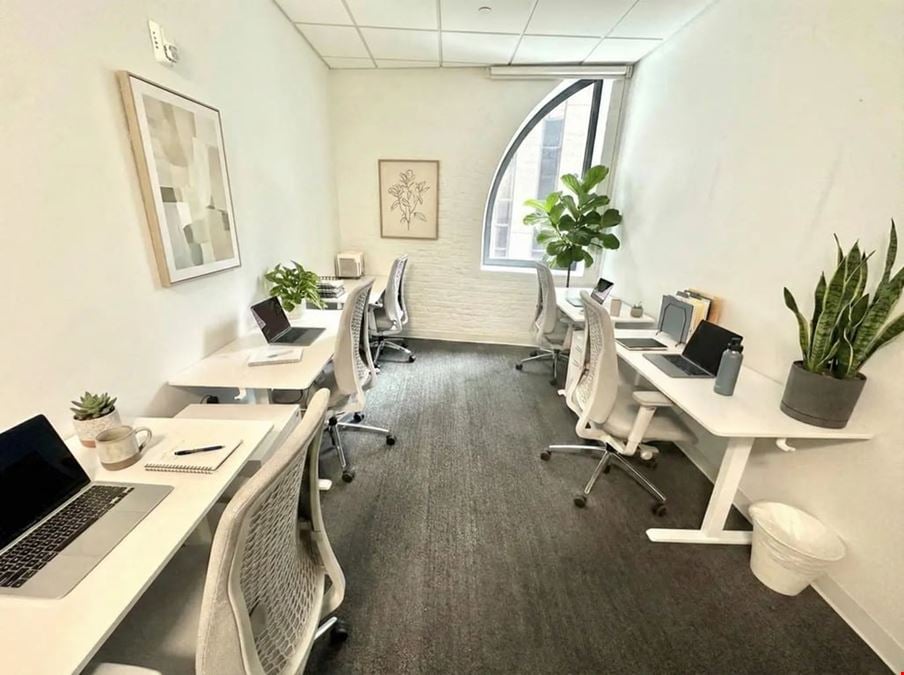 Window Day Office 240