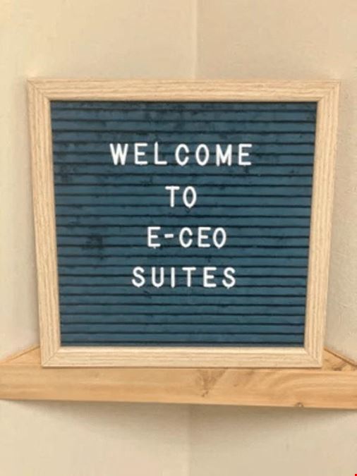 E-CEO Suites