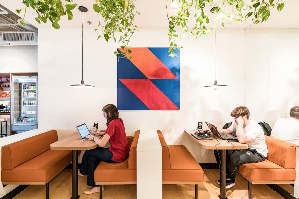 Nações Unidas 12901