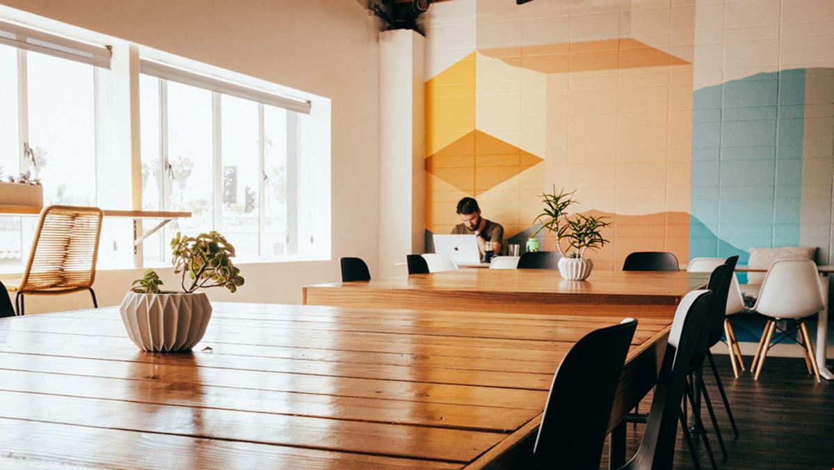 HardiHood - Cowork