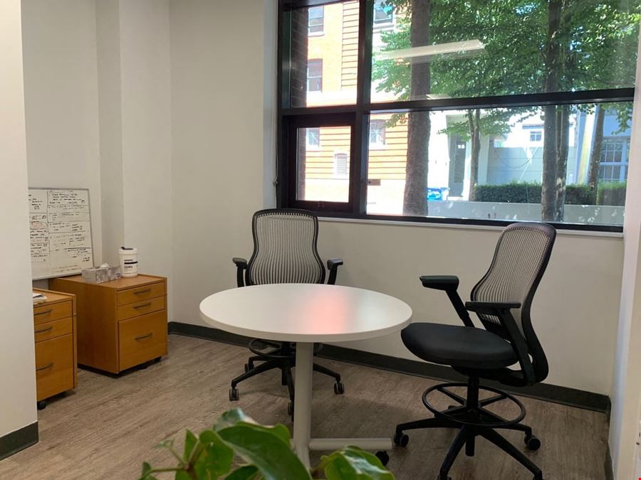 The Profile - 50 Lonsdale