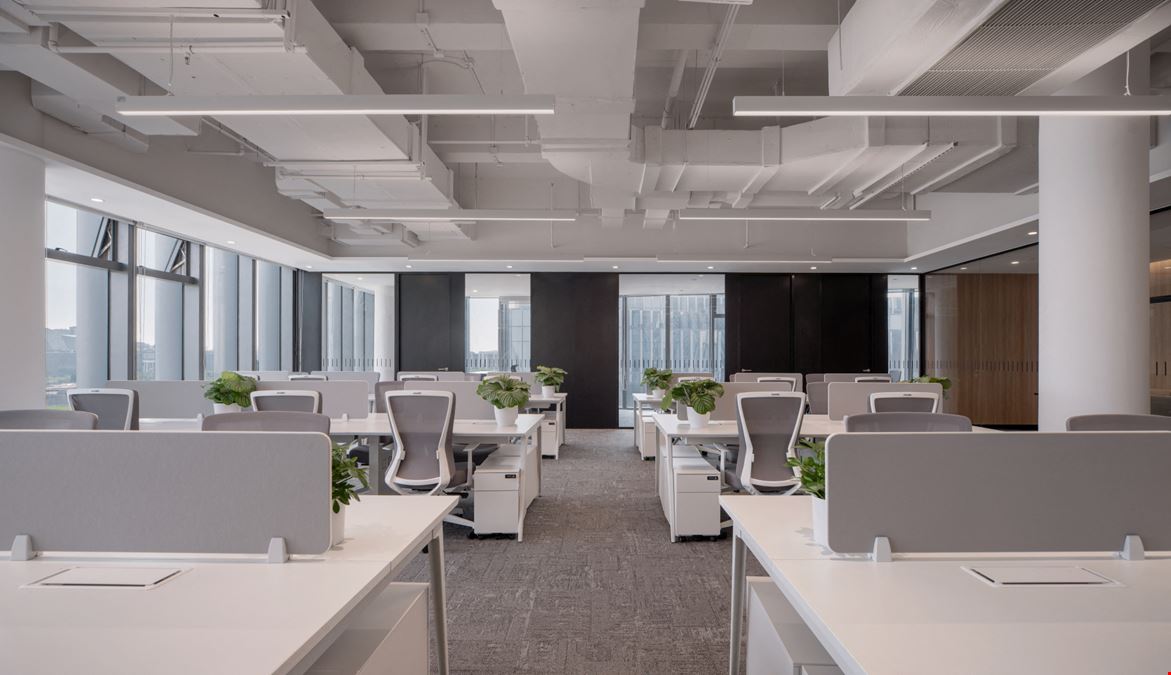 International Media Port