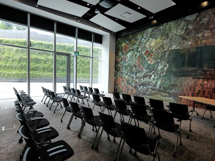 The Work Project - Ascent