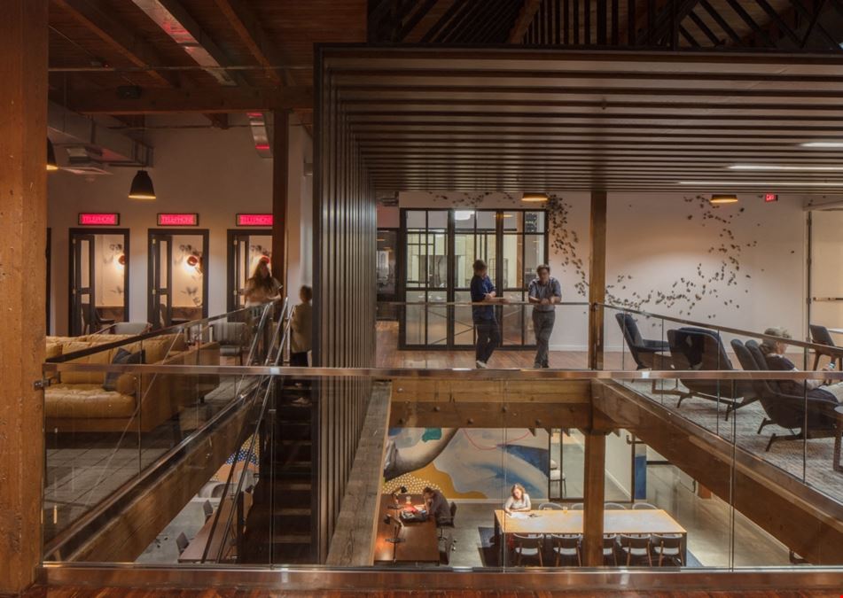 The Shop New Orleans