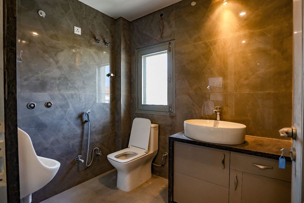 Cowocoli - Tonk Road