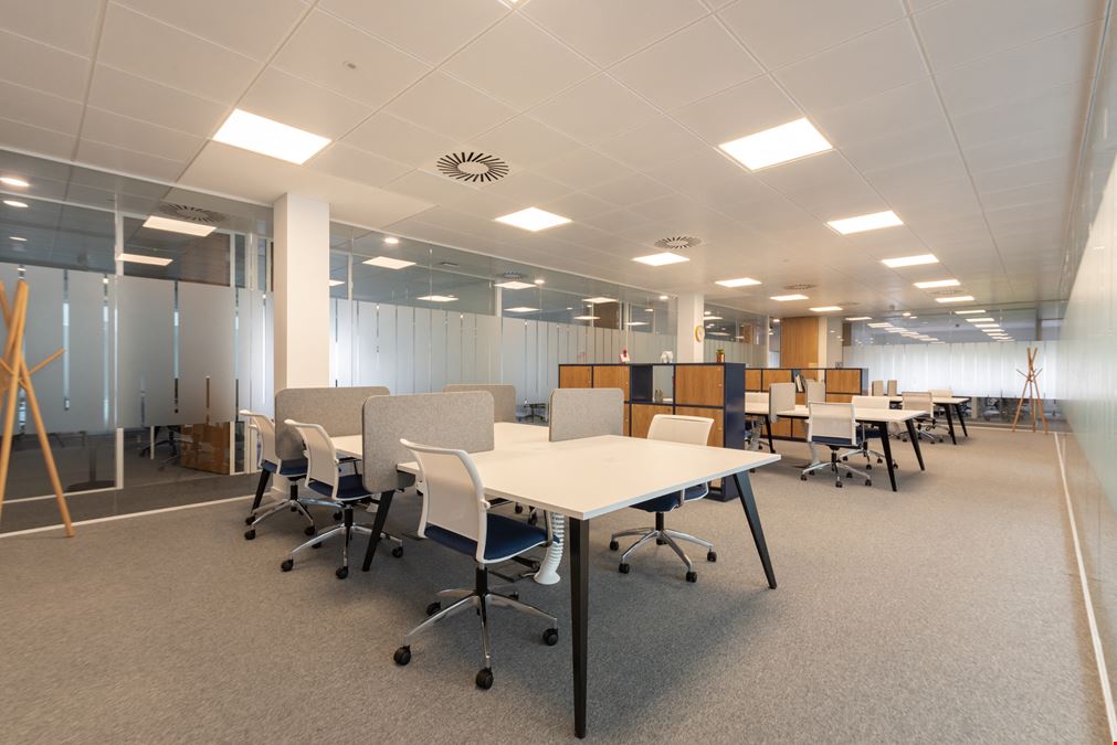 Regus - Winnersh Triangle