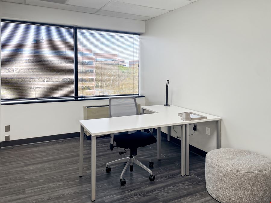 VA, Reston - Commerce Park Dr