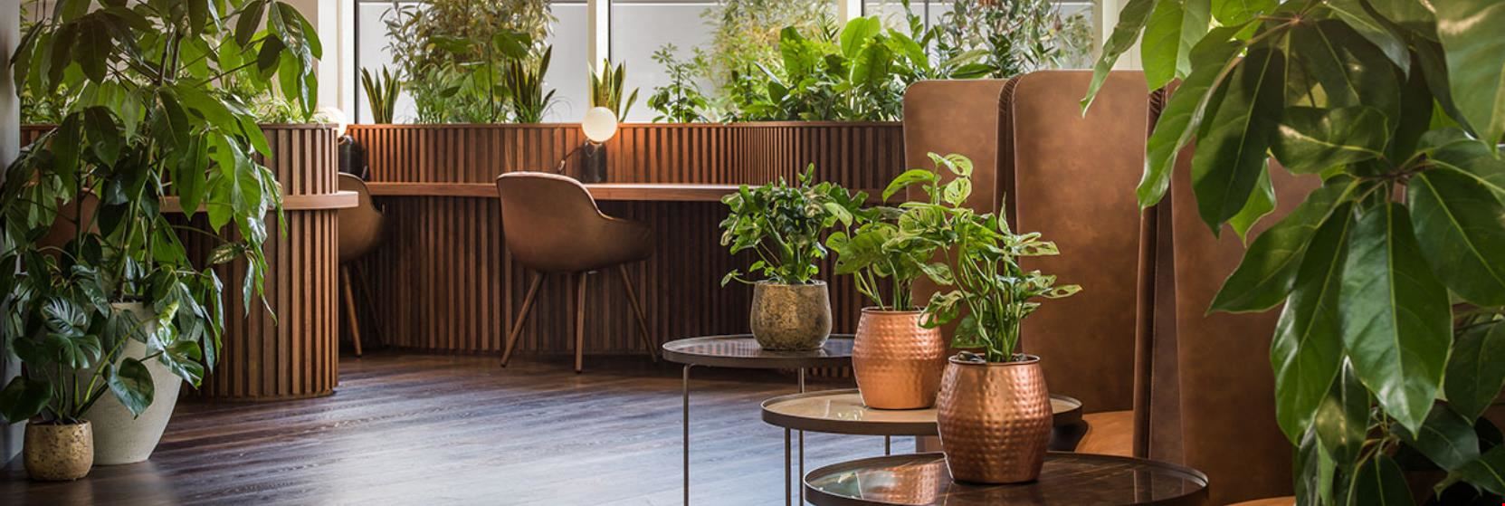 Uncommon - Liverpool Street