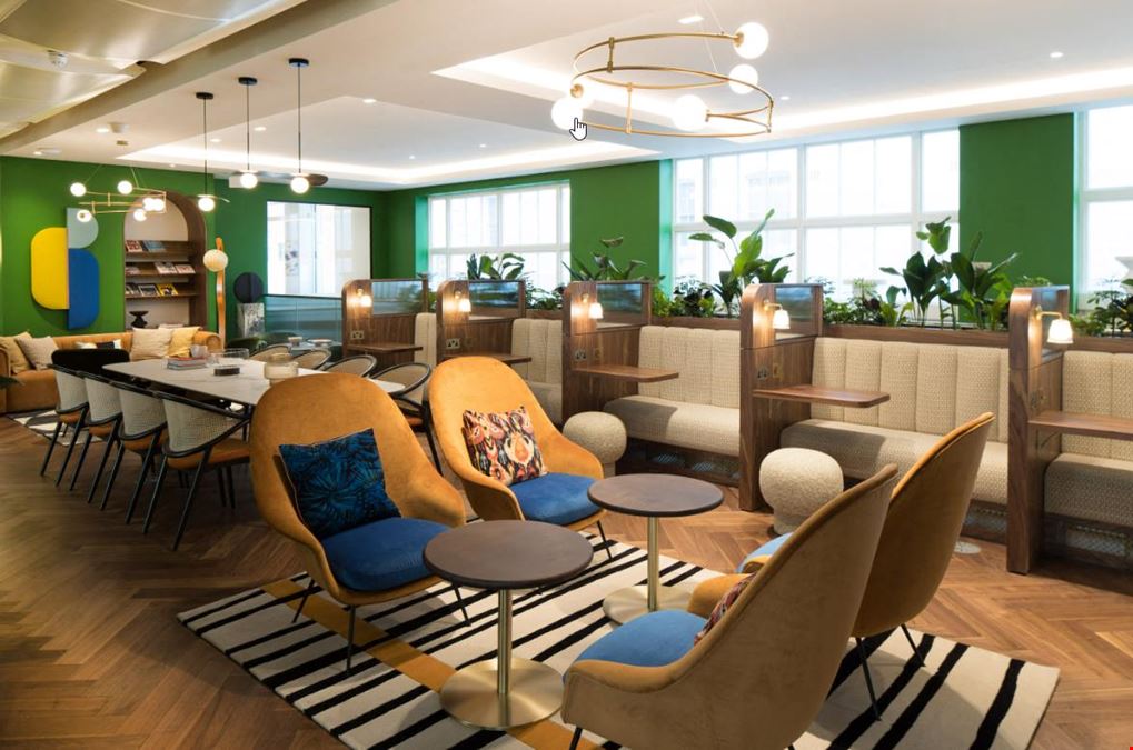 Grosnover Greater 50