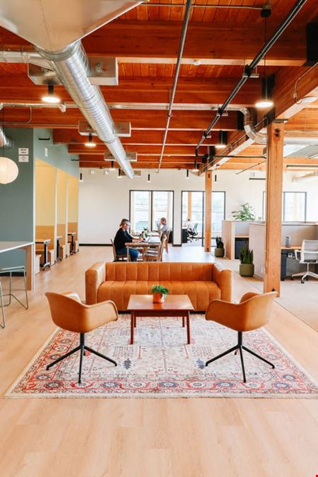 The Pioneer Collective - Ballard