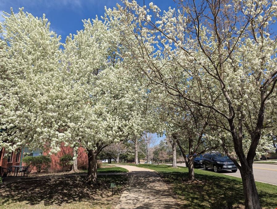Couples Counseling of Denver