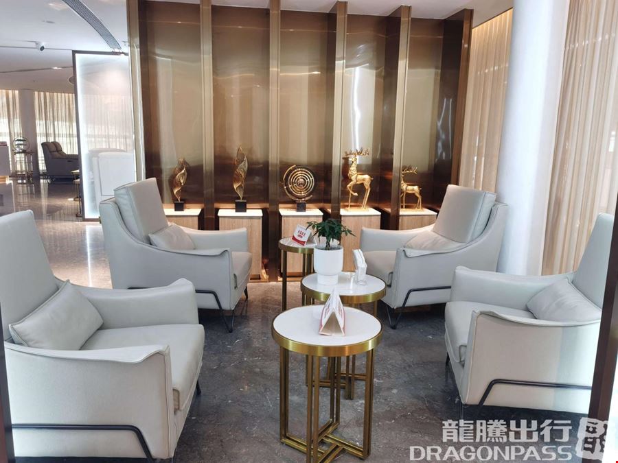 China Southern Sky Pearl Club VIP Bao'an International Airport Satellite Terminal