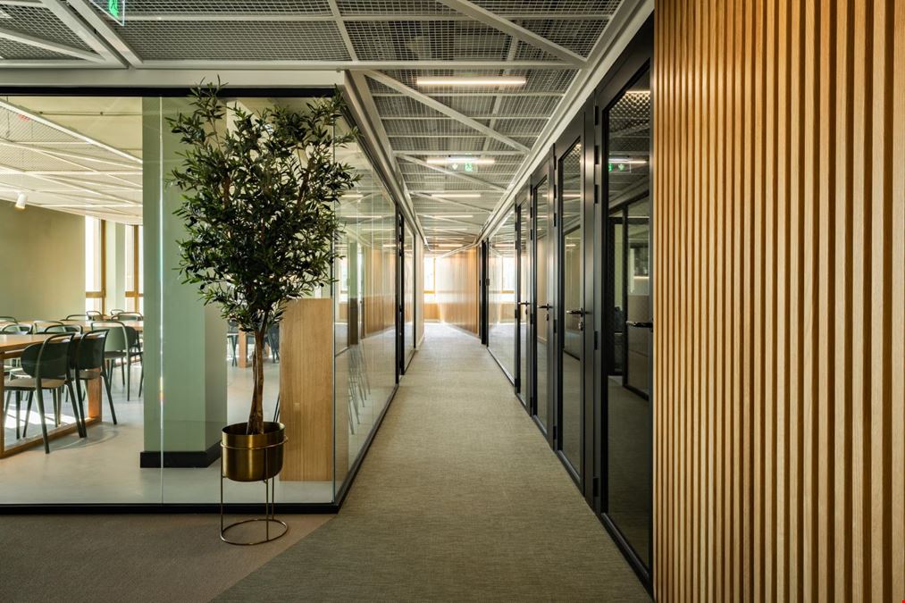 Vertical Coworking - Dom Henrique