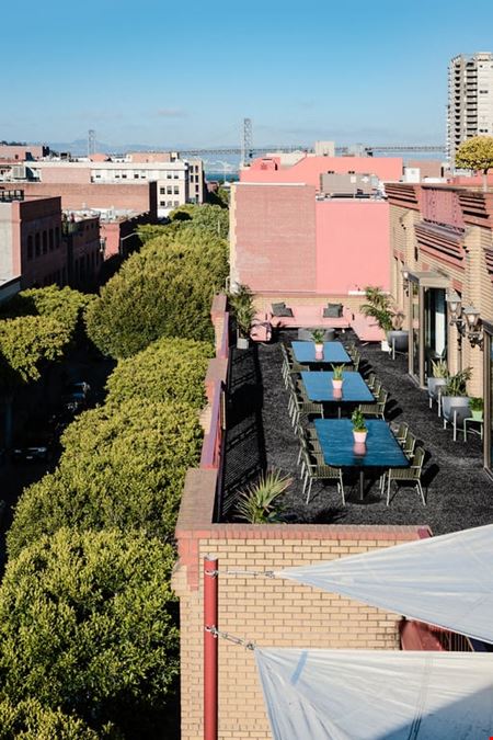 CANOPY - Jackson Square