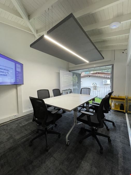 Quokka - Patio Bonito