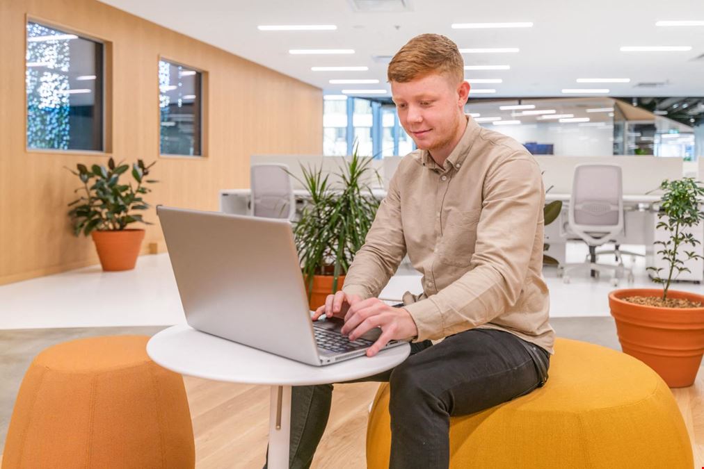 BC, Vancouver - Green Lamp