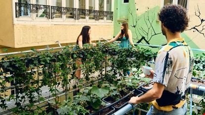 Preview of The Shed Coworking Office space for Rent in Madrid