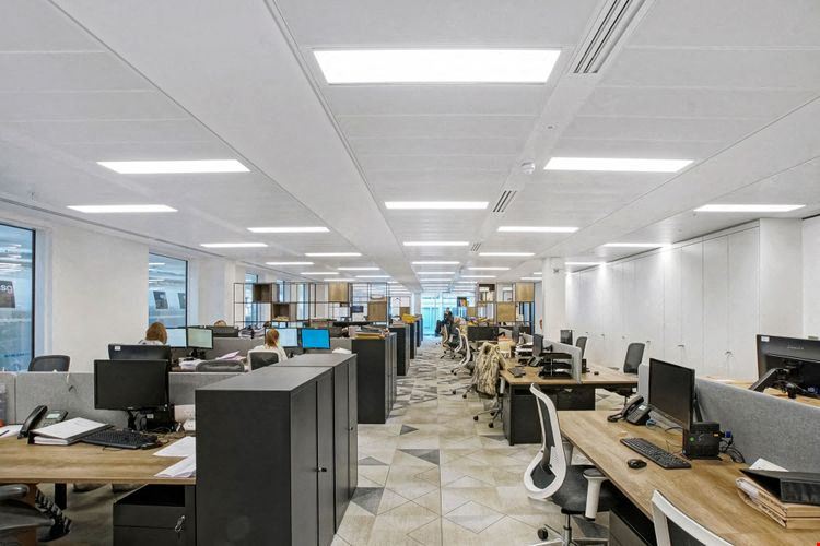 Kitt - 20 St Andrew Street