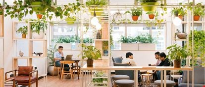 Preview of WeWork - Prestige Atlanta Office space for Rent in Bengaluru