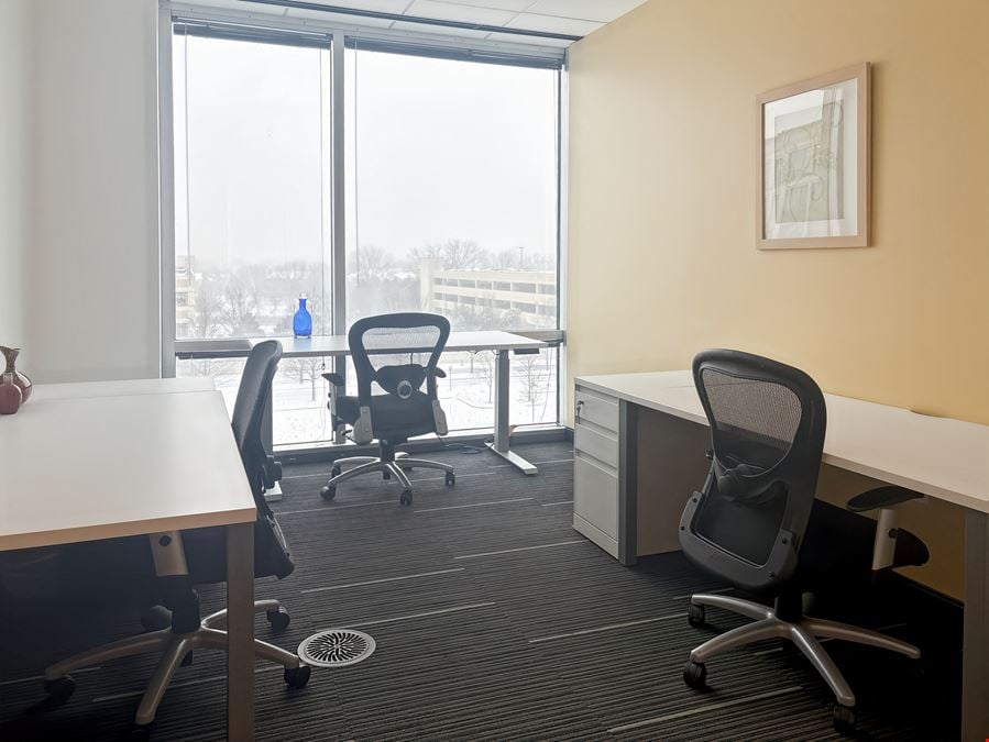 Regus - Schaumburg - Woodfield Preserve