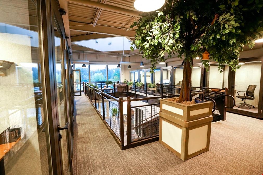 LionShare Cowork Harbour Village