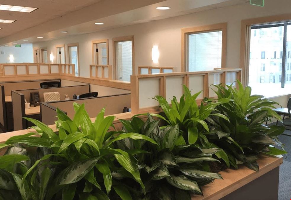 Intelligent Office - Nashville