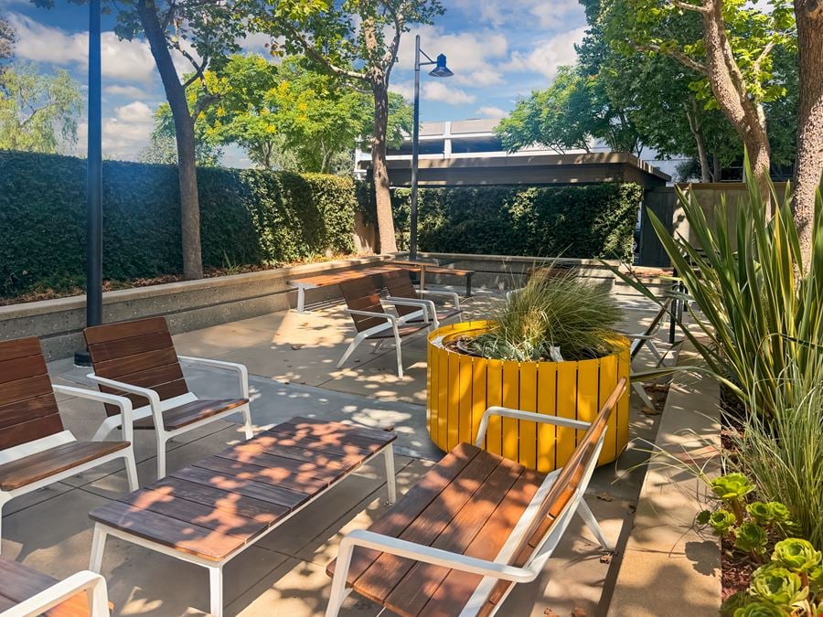 CA, Campbell - Pruneyard