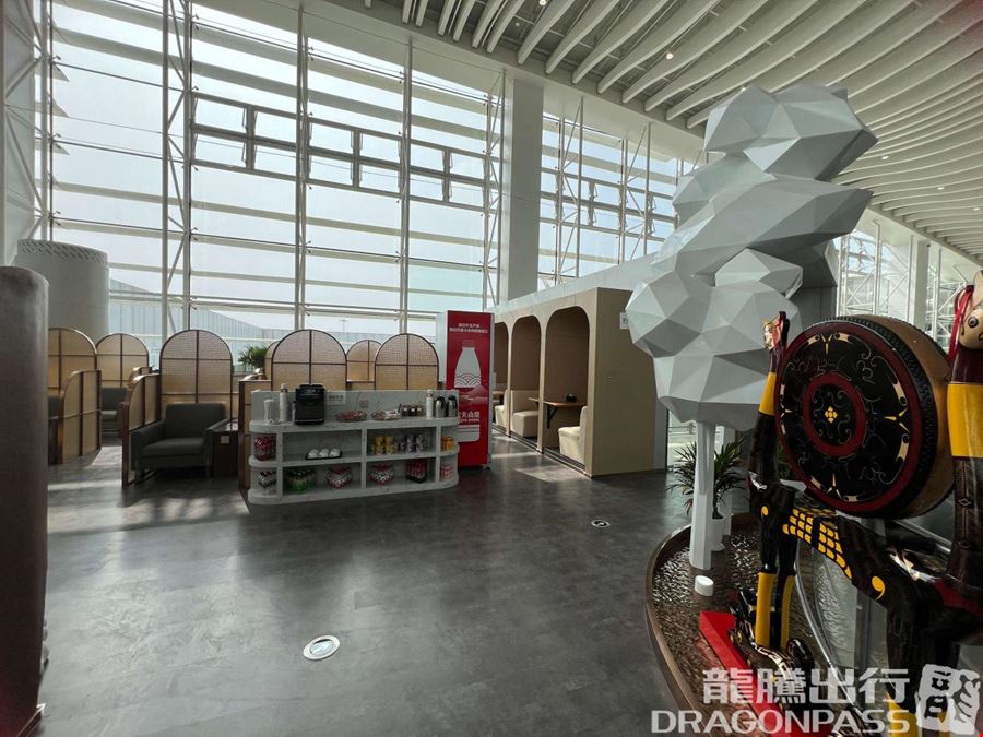 V18 VIP Lounge (T2 Domestic) Tianhe International Airport Terminal 2