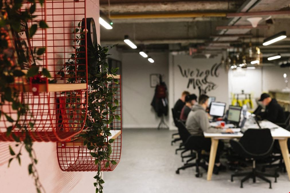 Venaspace - The Mount