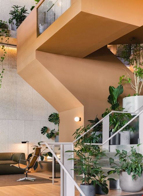 The Commons - Surry Hills