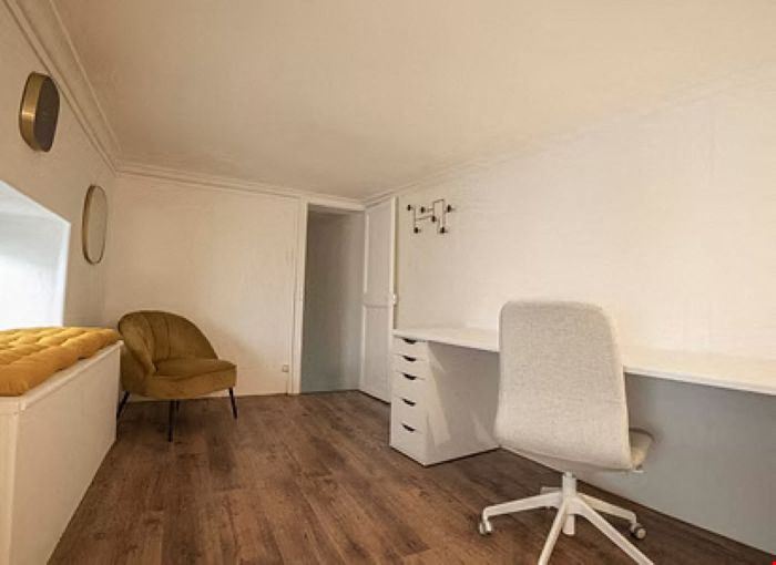 Lémurs Place du Marché aux Fleurs