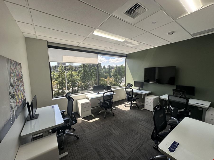 Team Office For 6