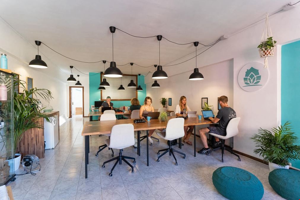 Zen Den Coworking - Tenerife
