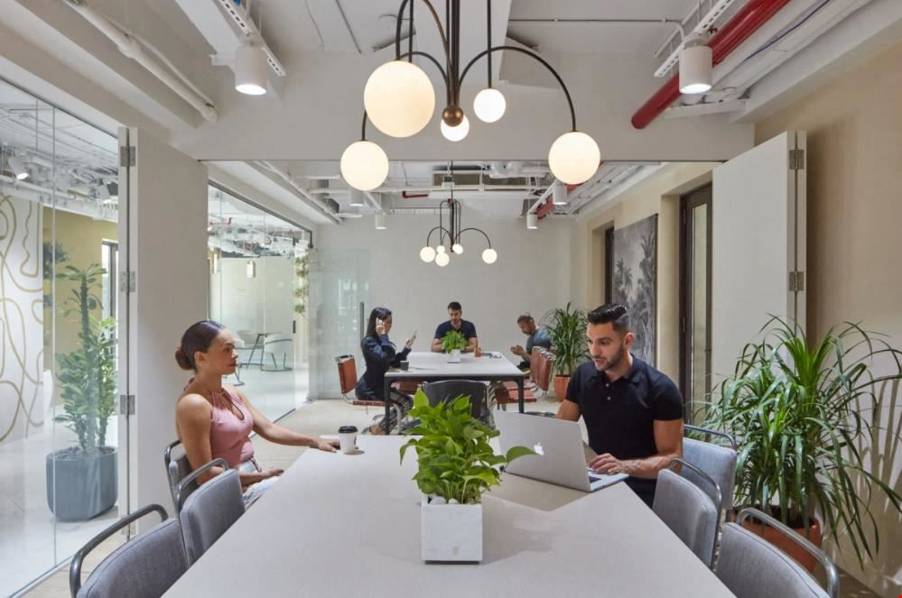 The Co-Spaces - The Co- Dubai