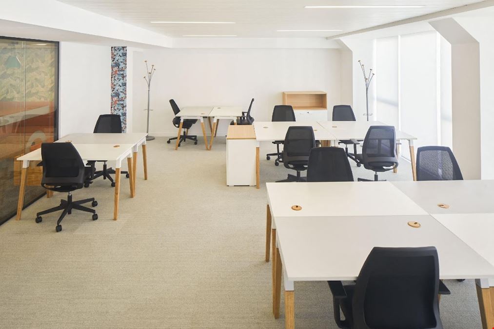 Wojo - Champs Elysées Paris 8ème