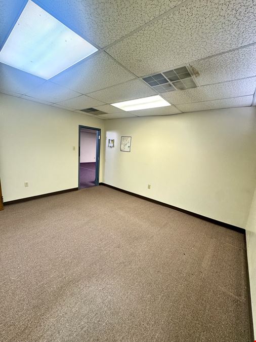 One Village Alliance, Freedom