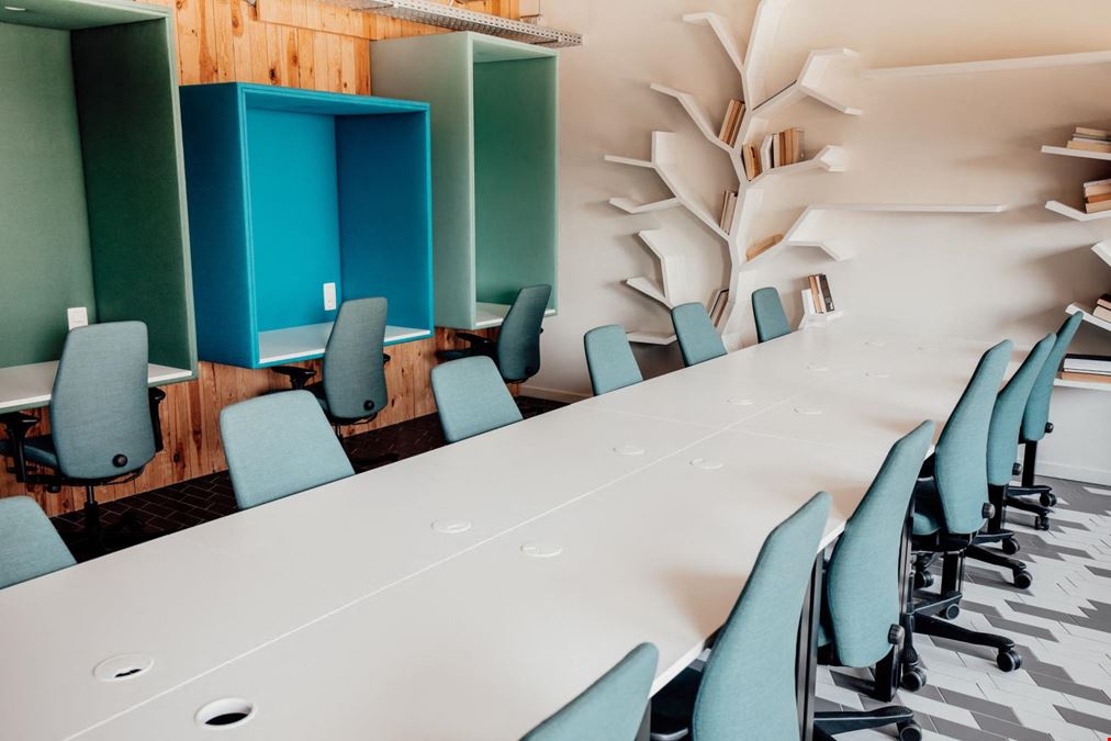 Brain Embassy - Belgium - Antwerpen