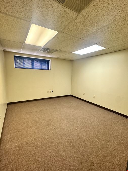 One Village Alliance, Freedom